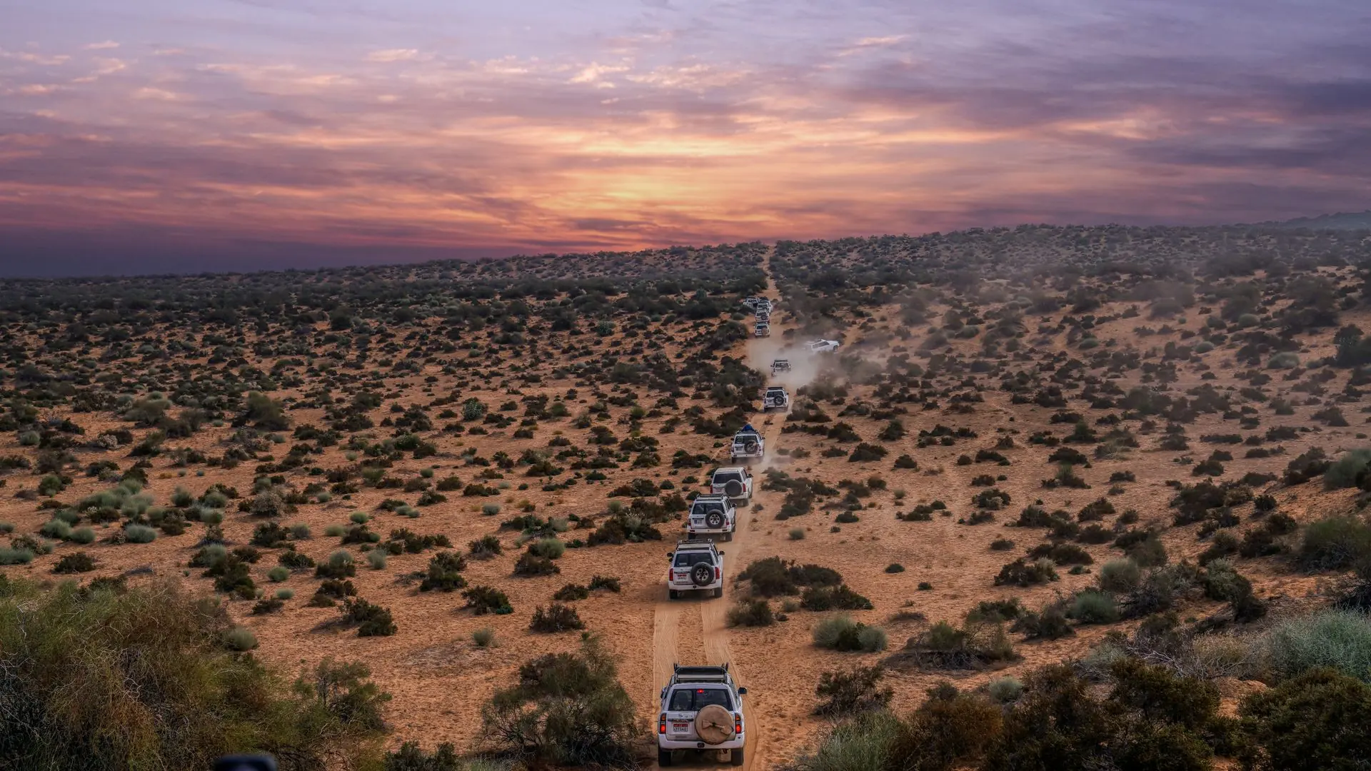 Column of vehicles driving a desert road at sunset, seen from above