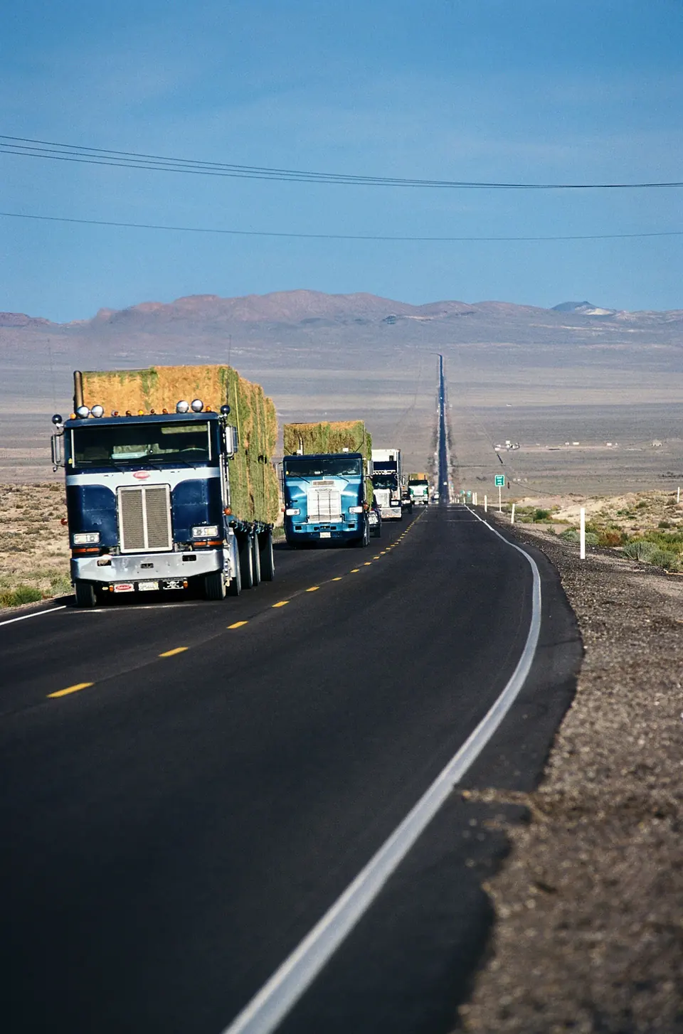 Freight trucks on a long desert highway