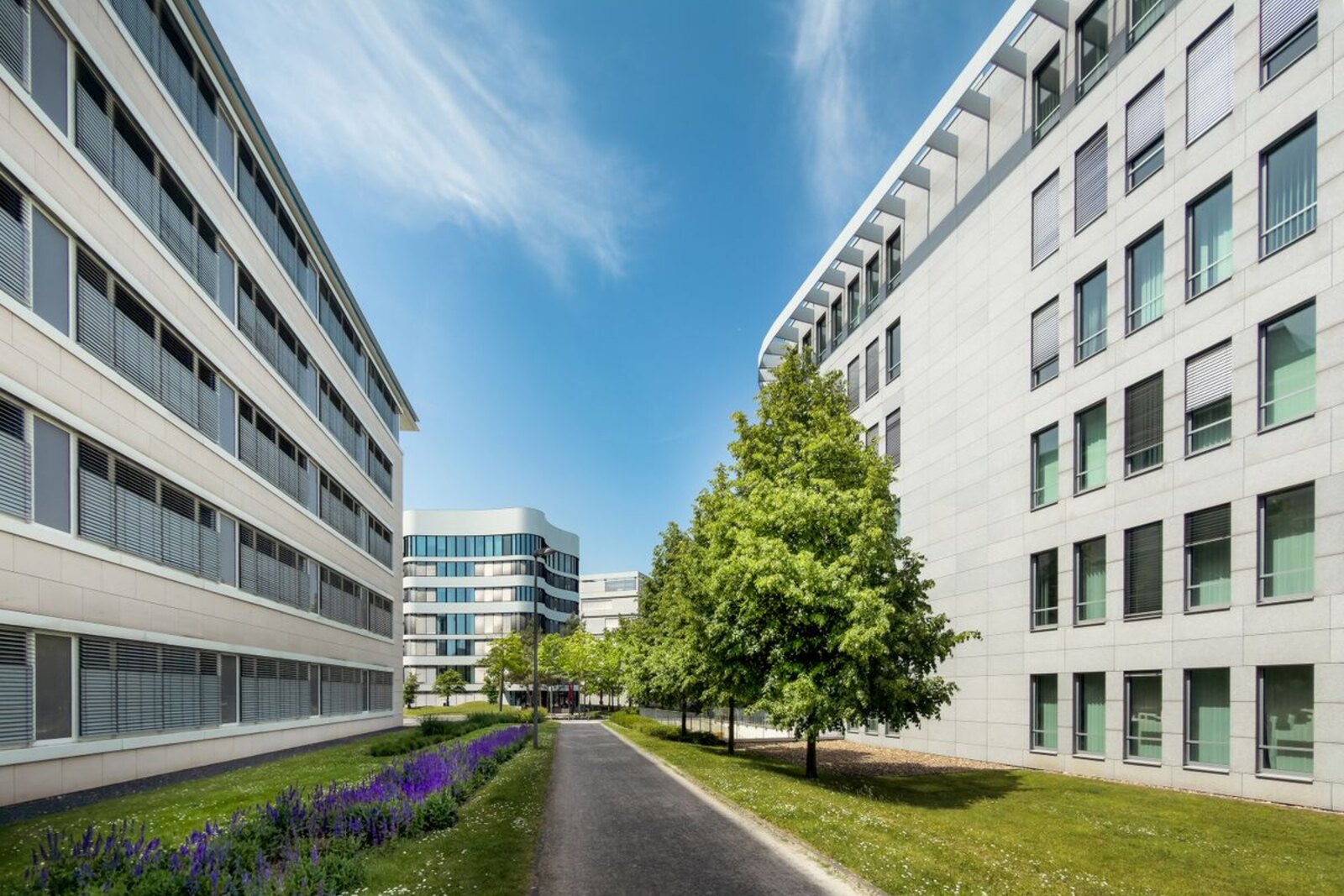 Office buildings along a landscaped path.
