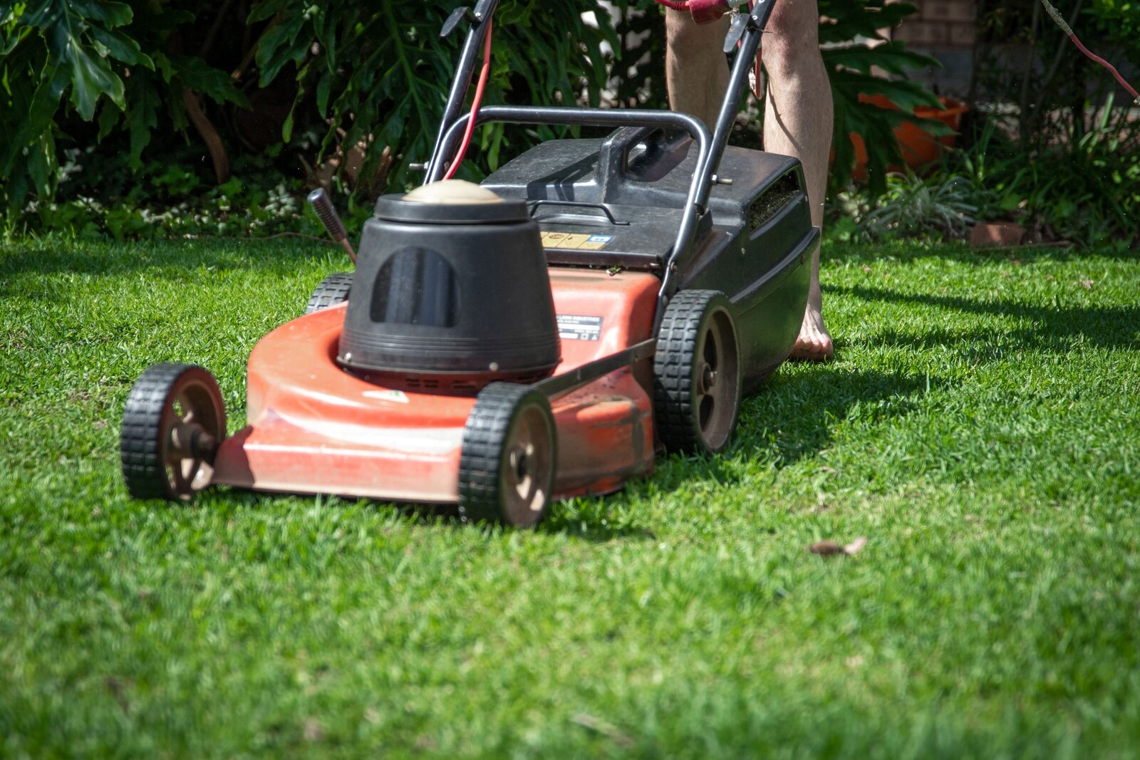 Lawn mower cutting grass.